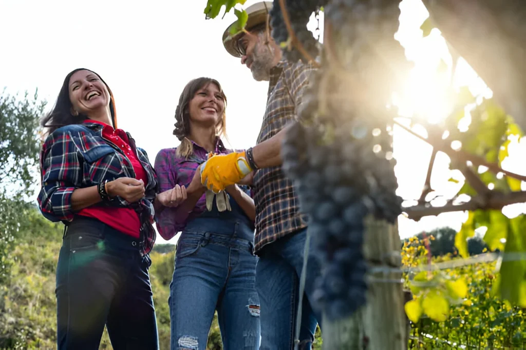 winery webuniter - Web Uniter